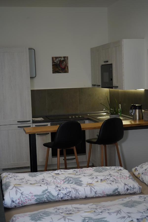 Hofmann Apartment Cheb Εξωτερικό φωτογραφία