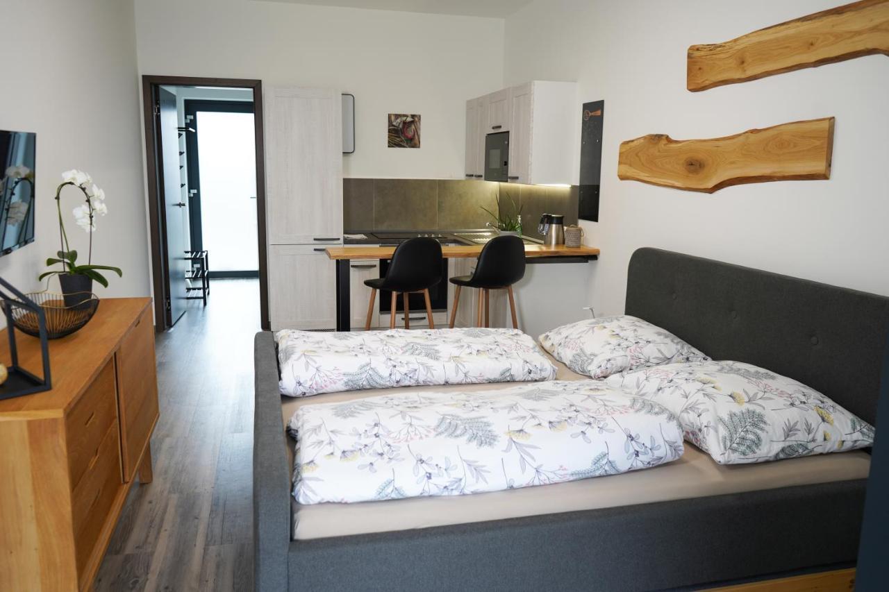 Hofmann Apartment Cheb Εξωτερικό φωτογραφία